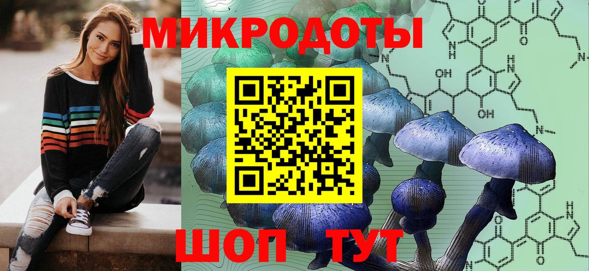 Галлюциногенные грибы Psilocybine cubensis Минеральные Воды
